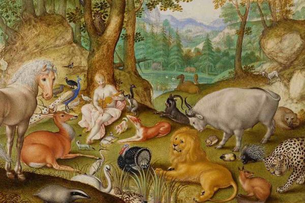 Interdisciplinary Perspectives on Cosmic and Human Evolution